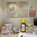 엘리독 | 용호동 애견미용 ‘엘리독’ 전체 미용후기