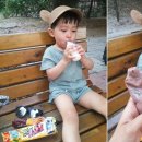 도현이네 농장 이미지