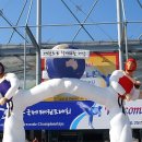 천년태권도체육관 이미지