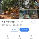 비디알오 이미지