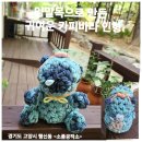 업사이클링 양말인형만들기 이미지