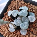 녹문농장 이미지