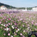 뉴영광