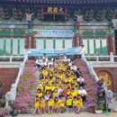 스테이 732 이미지