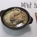 숙이네버섯