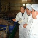 화성양돈 이미지