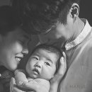 하루에스튜디오