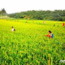 월봉농장 이미지