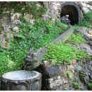 장대농장 이미지