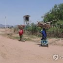 미나목장 이미지