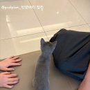 복희미용실