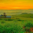 우리들목장 이미지