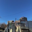 라이크펫 | 광주강아지카페 라이크펫 아이와 함께 방문후기