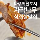 소로3-39(혁신도시) | 나주맛집 자작나무 나주혁신도시 고깃집에서 오겹살 먹고 반한 후기