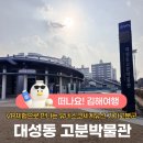 가야 고분군의 세계문화유산적 가치 | 김해대성동고분박물관 VR체험으로 만나는 유네스코세계유산 가야고분군