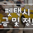 세이프애니펫 네이버블로그