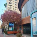 보성테니스장 이미지