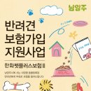 친구가 될 동물병원 이미지