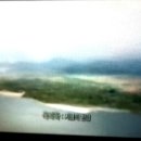 신아우성 이미지