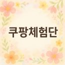 쿠팡 체험단 첫번째 초대 후기- 2025.05.20