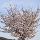 오삼~팜 이미지
