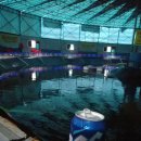 자유로레저낚시터 이미지