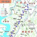 장전천1 티스토리