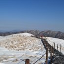 삼가삼거리 이미지