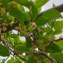 방동농장 이미지