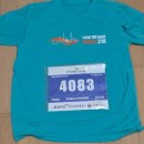 종로-신영-종로-영-110 | 2026 더 레이스 서울 21k 후기 (부제: 50분 언더 삼수생의 도전)