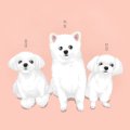 또왕또왕DogSalon