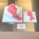샘케이크 love..is.. 워크인 구매 진짜 솔직 후기