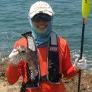 구선옆골 | 1만원의 행복 입맛손맛 즐겼던 소야미도 후기 - 안테나포인트 세부 내용