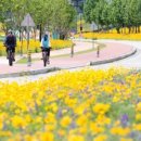 낙동강체육공원 야구장화장실 이미지