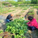 양수농장 이미지