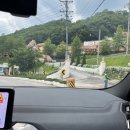 돌고래오토캠핑장 | 캠프게이트 청평 / 가평 오토캠핑장 / 서울근교 수영장