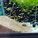 (주)아쿠아링크 이미지