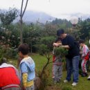 광영초교병설유치원 이미지