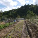 차경농장 이미지