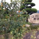 월출산고인돌펜션 | 월출산 고인돌 펜션...2