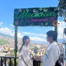 예술로 | 콜롬비아 | 메데인 여행 Day 2 | 코뮤나 13 (Comuna 13) 투어 후기, 예술로 기록된 역사