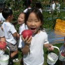 오감의 행복…`2010 장수한우랑사과랑 축제` 이미지