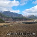 진흥114공인중개사사무소 네이버블로그