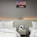 솔라고 명동 이미지