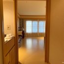 롯데호텔제주 | 7개월 아기랑 제주여행, 롯데호텔 제주 온돌룸 후기