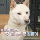 네바퀴정비공업사