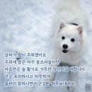 1월 장터 구매 우수 후기 당첨자 발표 이미지