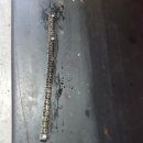 하대동126 이미지