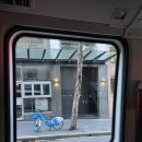 바이크앤트래블(Bike&Travel) | 호주여행 - 시드니 2일차 (포트스테판 투어 - 쿼드바이크, 낙타타기, 샌드보딩)