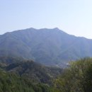 수림치재 | 백두대간 중재-복성이재(12.1km) 구간 산행기